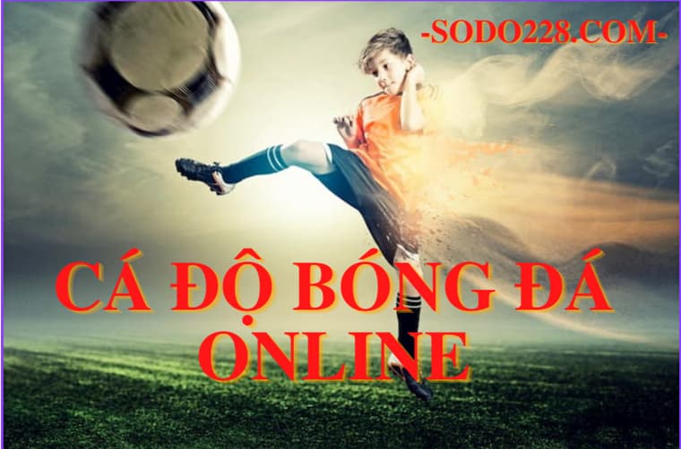 ca-do-bong-da-online